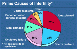Overview of Common Causes of Female Infertility